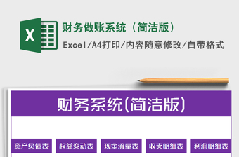 2021年財務做賬系統(tǒng)（簡潔版）