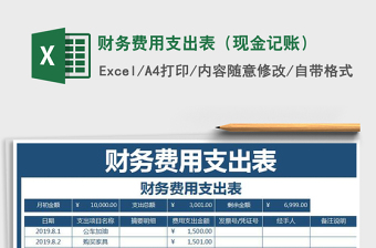 2021年財(cái)務(wù)費(fèi)用支出表（現(xiàn)金記賬）