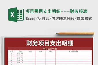 2021年項目費用支出明細---財務報表