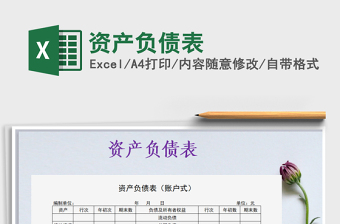 2021年資產(chǎn)負(fù)債表