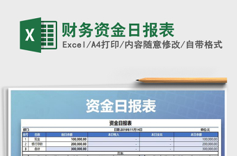 2021年财务资金日报表