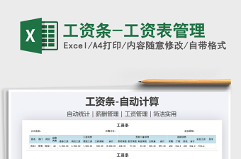2021年工資條-工資表管理