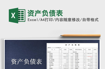2021年資產(chǎn)負債表