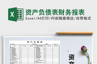 2021年資產負債表財務報表