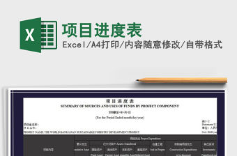 2021年項目進度表