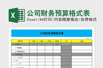 2021年公司財務預算格式表