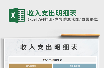 2021年收入支出明細表