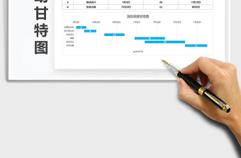 2021年实用精美可视化活动甘特图