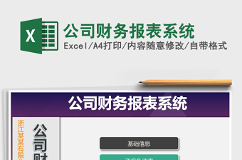 2021年公司財務報表系統(tǒng)