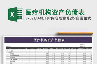 2021年醫療機構資產負債表