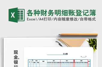 2021年各種財務明細賬登記簿