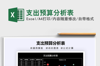 2021年支出預算分析表