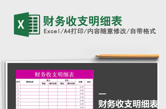 2021年財(cái)務(wù)收支明細(xì)表