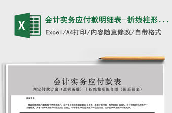 2021年會計實務應付款明細表-折線柱形圖
