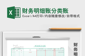 2021年財務明細賬分類賬