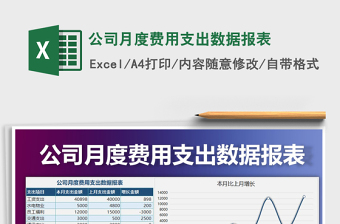 2022費(fèi)用支出年度報(bào)表(分類統(tǒng)計(jì))