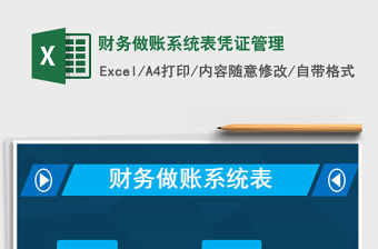 2021年財務做賬系統表憑證管理
