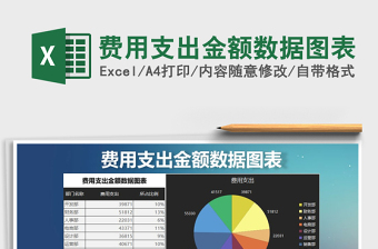 2021年費(fèi)用支出金額數(shù)據(jù)圖表