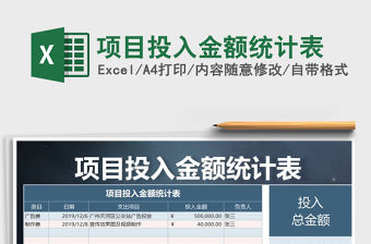 2021年項目投入金額統計表