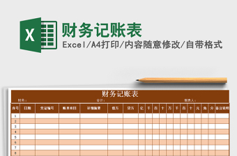 2021年財務(wù)記賬表