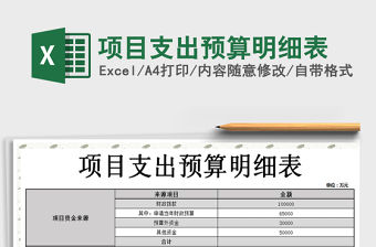 2021年項目支出預算明細表