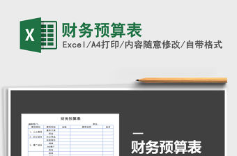 2021年財務預算表