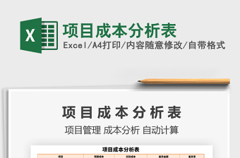 2021年項目成本分析表