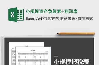 2021年小規(guī)模資產(chǎn)負債表+利潤表