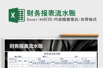 2021年財(cái)務(wù)報(bào)表流水賬