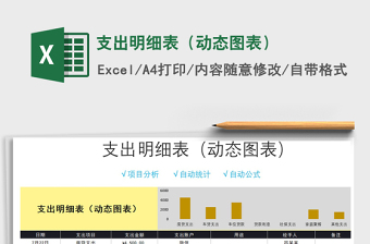 2021年支出明細表（動態(tài)圖表）