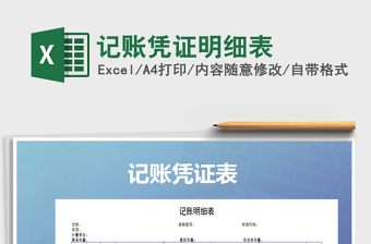 2021年記賬憑證明細表