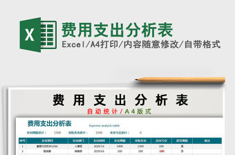 2021年費用支出分析表