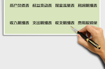 2021年財(cái)務(wù)報(bào)表系統(tǒng)