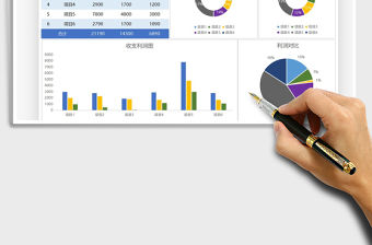 2021年項目收支利潤統計-可視化圖表