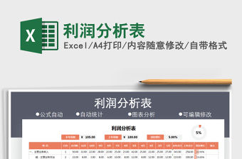 2021年利潤分析表