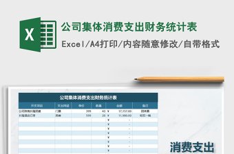 2021年公司集體消費支出財務統(tǒng)計表