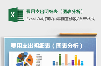 2021年費(fèi)用支出明細(xì)表（圖表分析）