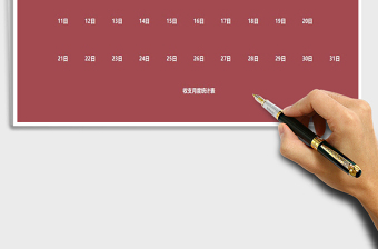 2021年收支系統(tǒng)—財(cái)務(wù)日?qǐng)?bào)表