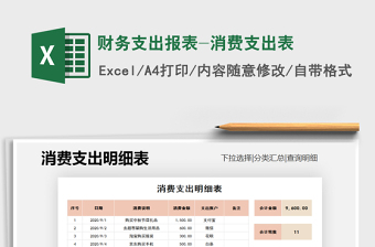 2021年財務(wù)支出報表-消費支出表