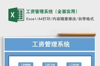 2021年工資管理系統(tǒng)（全面實(shí)用）