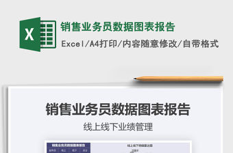 2021年銷售業(yè)務(wù)員數(shù)據(jù)圖表報(bào)告