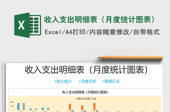 2021年收入支出明細(xì)表（月度統(tǒng)計(jì)圖表）