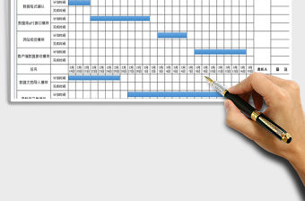 2021年公司數(shù)據(jù)信息化項目進度計劃表