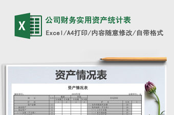 2021年公司財務實用資產統(tǒng)計表