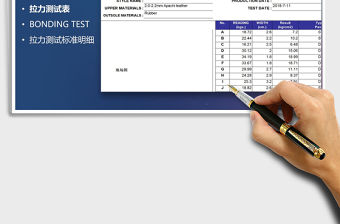 2021年拉力測試表(拉力測試標(biāo)準(zhǔn)明細(xì)表)