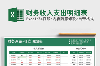 2021年財務收入支出明細表