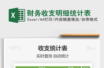 2021年財(cái)務(wù)收支明細(xì)統(tǒng)計(jì)表