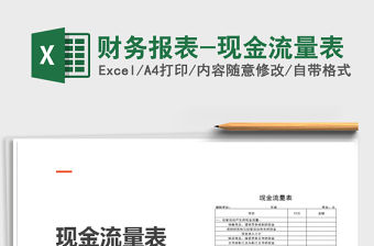 2021年財(cái)務(wù)報(bào)表-現(xiàn)金流量表