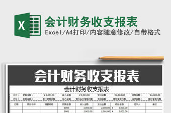 2021年會(huì)計(jì)財(cái)務(wù)收支報(bào)表