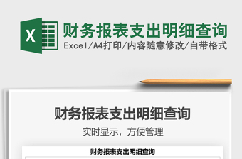 2021年財(cái)務(wù)報(bào)表支出明細(xì)查詢